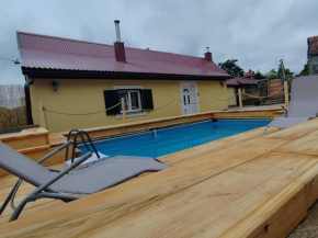 Old house Rustica with pool, jacuzzi and tavern - Valincic